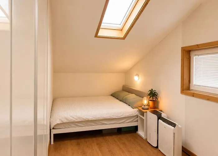 Apricot Namsan, Duplex Near Station And Gwanghwamun * ソウル特別市